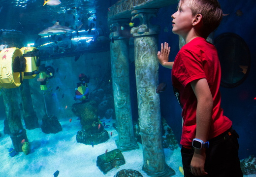 20180823134116-m1505